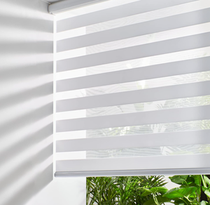 lot 442 image: Persilux Zebra Roller Shades for Windows, Privacy Roller Blinds for Windows (70 W x 72 H, White)