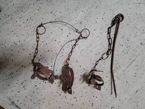 lot 46 image: Vintage Rusted Animal Traps with Chains