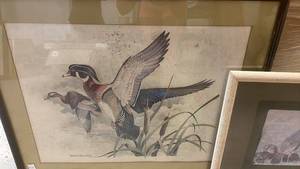 lot 130 image: Pair of Framed Wildlife Bird Prints