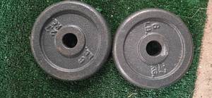 lot 14 image: Lot of two 5LB One inch Weight Plates (USED)