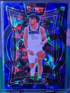 lot 157 image: TERRENCE SHANNON JR 2024-25 PANINI SELECT CONCOURSE BLUE CRACKED ICE