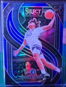 lot 177 image: TERRENCE SHANNON JR 2024-25 PANINI SELECT PREMIER LEVEL SILVER ROOKIE CARD