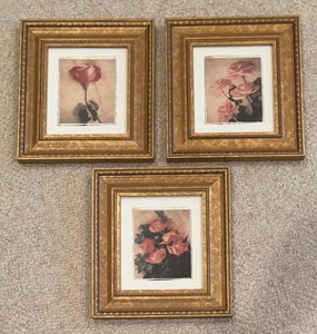 lot 208 image: Trio of Fine Floral Prints