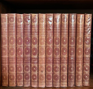 lot 42 image: 12-Volume Set The New Natural History Illustrated Vintage Books