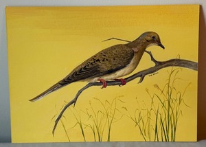 lot 132 image: Original Geri Arnold Mourning Dove Bird Painting, Unframed