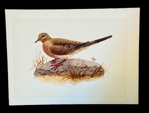 lot 135 image: Original Geri Arnold Bird Drawing on Board 15 x 11 Inches