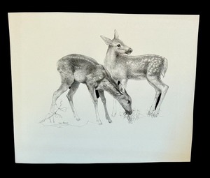 lot 136 image: Original Black-and-White Drawing of Two Deer by Geri Arnold