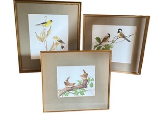 lot 187 image: Set of 3 Framed Original Geri Arnold Bird Watercolor Paintings