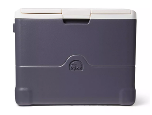 lot 34 image: Igloo Iceless 40qt Portable Thermoelectric Cooler