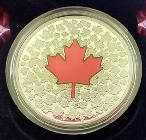 lot 95 image: Gorgeous 2013 Canada 1 oz Silver Maple Impression Coin