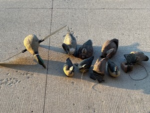 lot 9 image: Duck Decoys