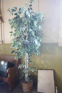 lot 191 image: Artificial Birch Tree