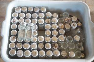 lot 208 image: Bus Tub Full of Salt & Pepper Shakers