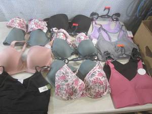 lot 51 image: (EW2) Assorted New with Tags Bras A...