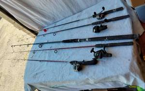 lot 101 image: Fishing rod and reels including Zebco 33, Mitchell 300, and others