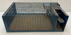 lot 178 image: Vintage Heavy Metal Bird Live Trap