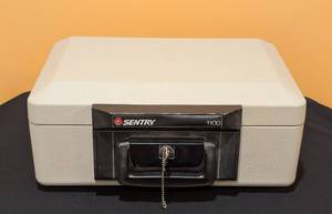 lot 19 image: Sentry 1100 File Fire Safe