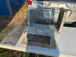 lot 6 image: TRAPS
