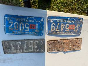 lot 10 image: LICENSE PLATES