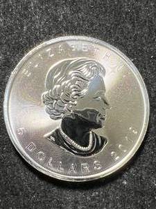 lot 09 image: 2019 CANADIAN MAPLE LEAF 1 TROY OZ .9999 FINE SILVER