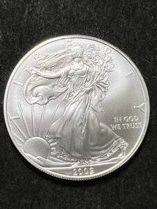 lot 24 image: 2009 AMERICAN SILVER EAGLE 1 TROY OZ .999 FINE SILVER