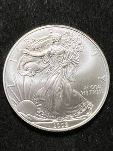 lot 75 image: 2009 AMERICAN SILVER EAGLE 1 TROY OZ .999 FINE SILVER