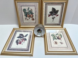 lot 150 image: Set of 4 Framed Botanical Fruit Prints and 6 Decorative Fruit Motif Plates