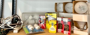 lot 124 image: Assorted Light Bulbs and Extension Cord Lot