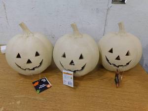 lot 150 image: (3) Pumpkins