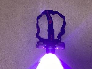 lot 404 image: Streamlight ProTac 2.0 Ducks Unlimited Headlamp