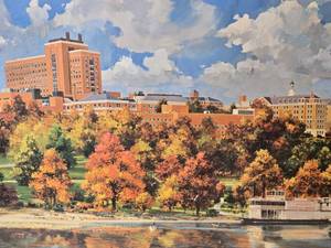 lot 74 image: University of Minnesota Medical School Framed Print