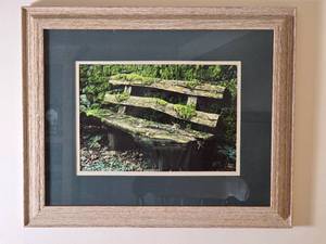 lot 102 image: Magical Fine Art Photography Print - Diana Horton - Mossy Bench