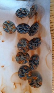 lot 62 image: (11) Antique Picture Buttons - Really Cool