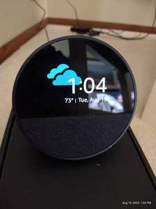 lot 98 image: Echo Spot- Works