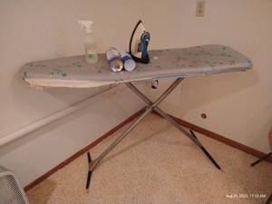 lot 270 image: Ironing Lot