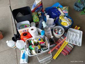 lot 287 image: Large Household Cleaning & Organizing Lot