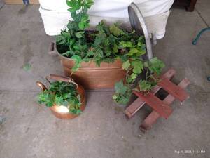lot 290 image: Copper Pot Planter & Large Oval Pot w Lid & Stand