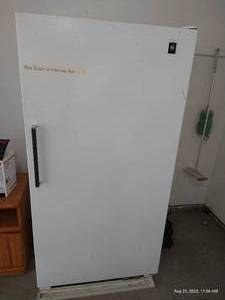 lot 293 image: GE Upright Freezer from 1996- Works
