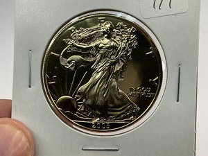 lot 111 image: 2003 24k Gold Plated American Silver Eagle