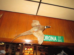 lot 7 image: Taxidermy Pheasant Mount