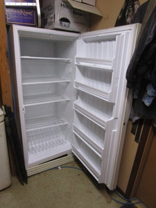 lot 59 image: Woods Upright Freezer