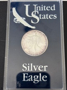 lot 41 image: 2001 Silver Eagle