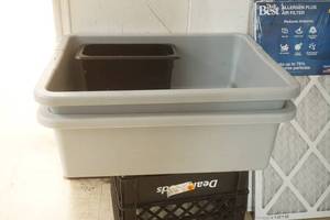 lot 47 image: 2 Bus Tubs & 14 pan (Cambro Poly)