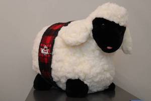 lot 148 image: Woolrich Plush Stuffed Sheep Toy with Plaid Blanket