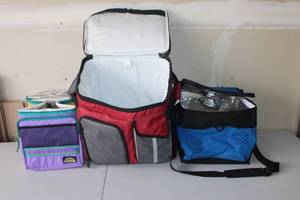 lot 319 image: Lot of 3 Insulated Soft-Sided Coolers with Straps