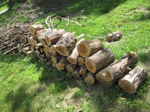 lot 217 image: Nicely cut and stacked pile of wood...