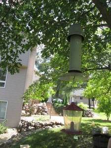 lot 239 image: Large tubular squirrel deterrent bi...