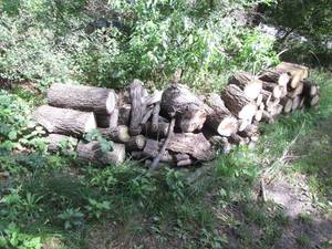 lot 259 image: Cascading line of stacked firewood ...