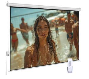 lot 76 image: Projection Screen screen size 110 169