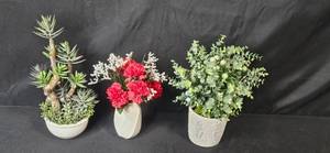lot 157 image: Set of 3 Artificial Potted Plant Arrangements with Mikasa Bone China Vase